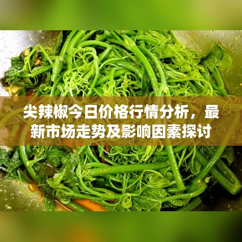 尖辣椒今日價(jià)格行情分析，最新市場走勢及影響因素探討