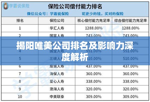 揭陽唯美公司排名及影響力深度解析