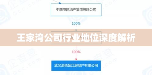 王家灣公司行業(yè)地位深度解析