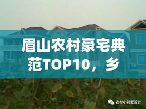 眉山農(nóng)村豪宅典范TOP10，鄉(xiāng)村新風(fēng)貌展現(xiàn)豪華風(fēng)采
