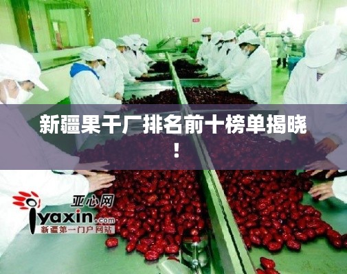 新疆果干廠排名前十榜單揭曉！