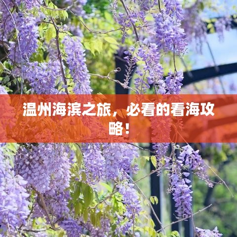 溫州海濱之旅，必看的看海攻略！