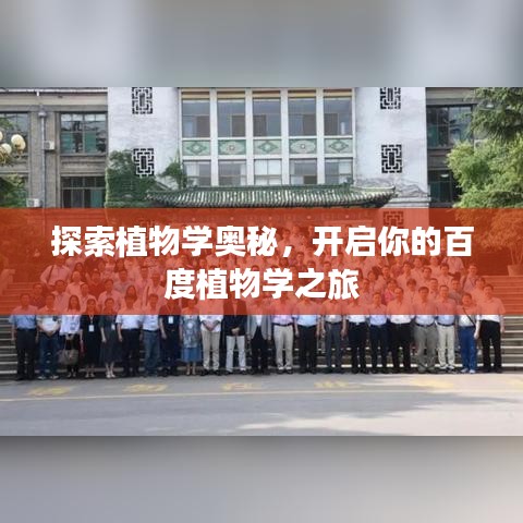 探索植物學(xué)奧秘，開(kāi)啟你的百度植物學(xué)之旅