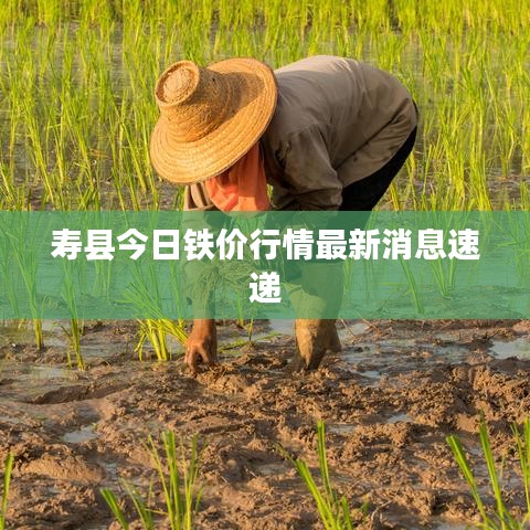 壽縣今日鐵價(jià)行情最新消息速遞