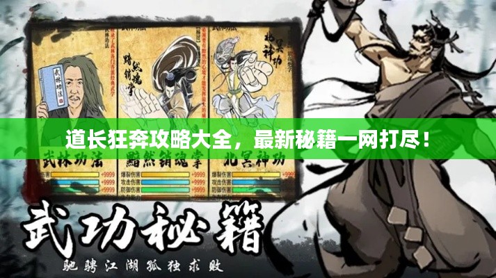 道長狂奔攻略大全，最新秘籍一網(wǎng)打盡！