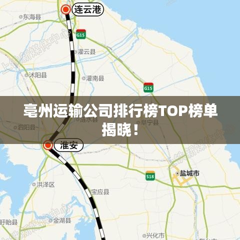 亳州運(yùn)輸公司排行榜TOP榜單揭曉！