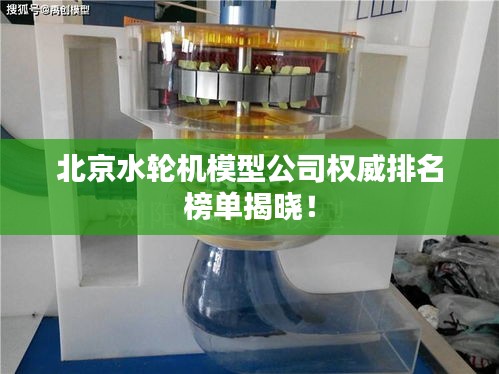 北京水輪機模型公司權(quán)威排名榜單揭曉！