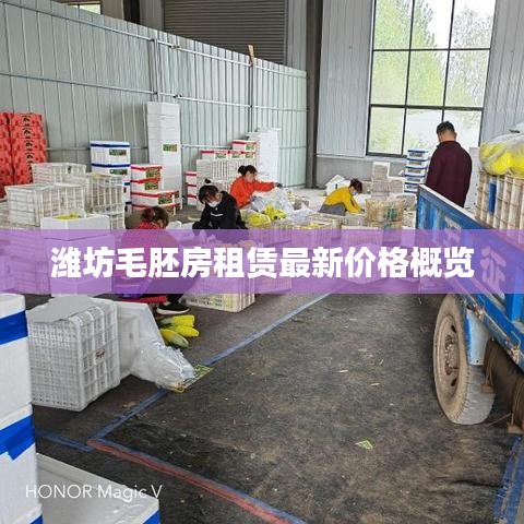 濰坊毛胚房租賃最新價格概覽