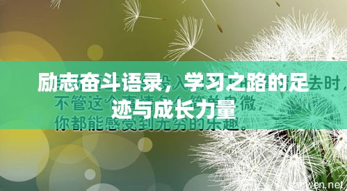 勵(lì)志奮斗語錄，學(xué)習(xí)之路的足跡與成長力量