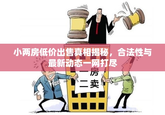 小兩房低價(jià)出售真相揭秘，合法性與最新動態(tài)一網(wǎng)打盡