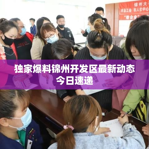 獨家爆料錦州開發(fā)區(qū)最新動態(tài)今日速遞