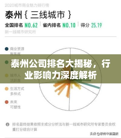 泰州公司排名大揭秘，行業(yè)影響力深度解析