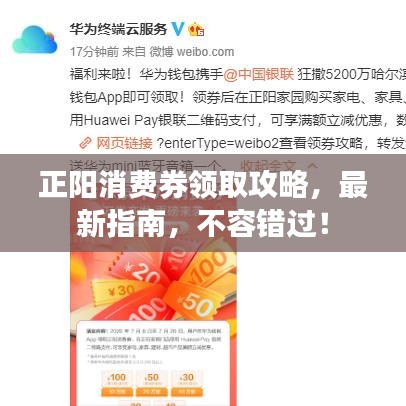 正陽消費券領取攻略，最新指南，不容錯過！