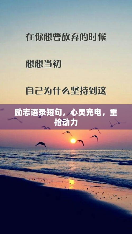 環(huán)肥燕瘦 第3頁
