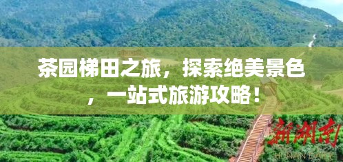 茶園梯田之旅，探索絕美景色，一站式旅游攻略！