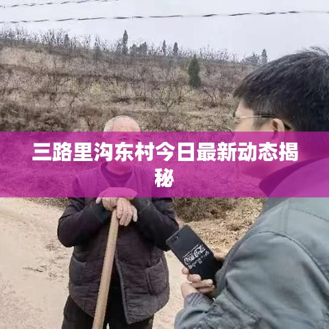 三路里溝東村今日最新動(dòng)態(tài)揭秘