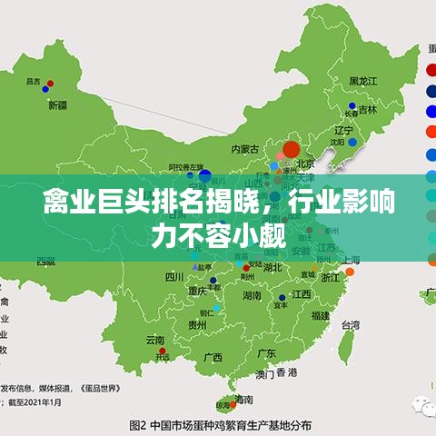 禽業(yè)巨頭排名揭曉，行業(yè)影響力不容小覷