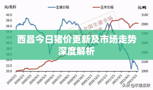 西昌今日豬價更新及市場走勢深度解析