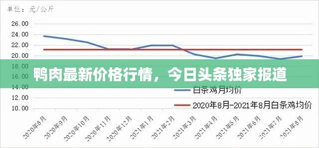 鴨肉最新價(jià)格行情，今日頭條獨(dú)家報(bào)道