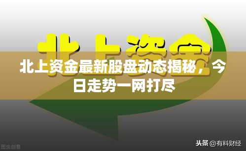 北上資金最新股盤動(dòng)態(tài)揭秘，今日走勢一網(wǎng)打盡