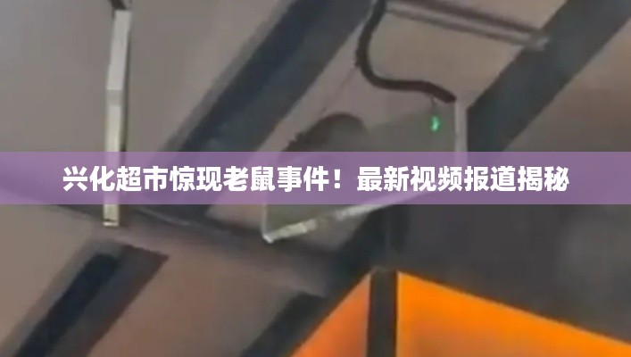 興化超市驚現(xiàn)老鼠事件！最新視頻報道揭秘