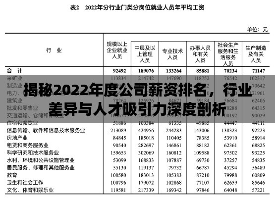 揭秘2022年度公司薪資排名，行業(yè)差異與人才吸引力深度剖析