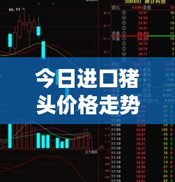 眉清目秀 第2頁