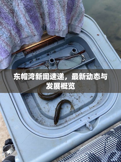 東帽灣新聞速遞，最新動態(tài)與發(fā)展概覽
