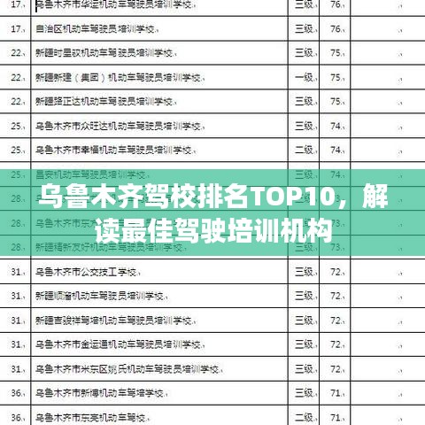 烏魯木齊駕校排名TOP10，解讀最佳駕駛培訓(xùn)機(jī)構(gòu)