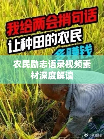 農(nóng)民勵志語錄視頻素材深度解讀