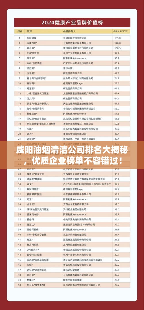 咸陽油煙清潔公司排名大揭秘，優(yōu)質(zhì)企業(yè)榜單不容錯過！