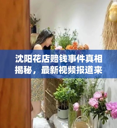 沈陽花店賠錢事件真相揭秘，最新視頻報(bào)道來襲