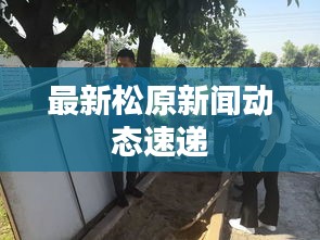 最新松原新聞動(dòng)態(tài)速遞