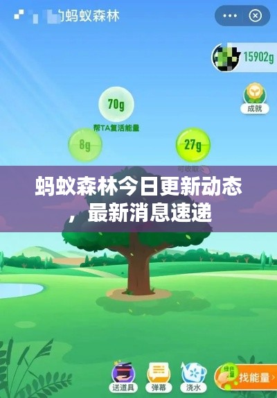 螞蟻森林今日更新動(dòng)態(tài)，最新消息速遞