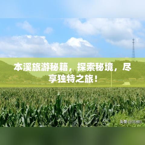 本溪旅游秘籍，探索秘境，盡享獨特之旅！