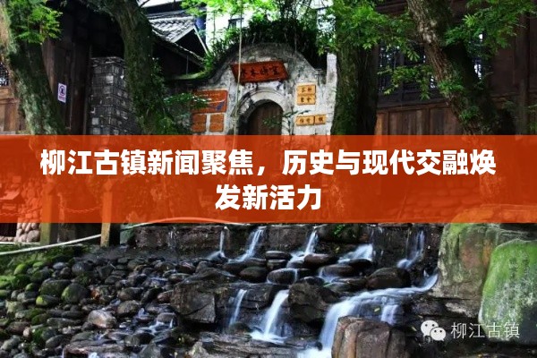 柳江古鎮(zhèn)新聞聚焦，歷史與現(xiàn)代交融煥發(fā)新活力