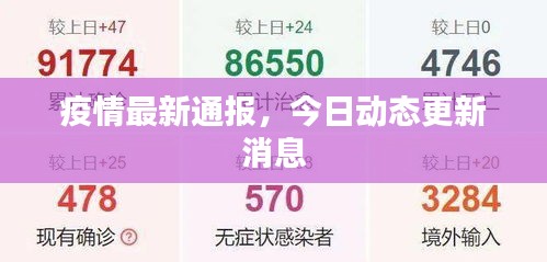 疫情最新通報(bào)，今日動(dòng)態(tài)更新消息