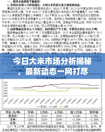 今日大米市場(chǎng)分析揭秘，最新動(dòng)態(tài)一網(wǎng)打盡