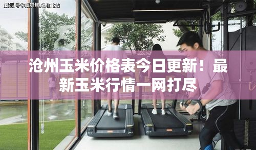 滄州玉米價(jià)格表今日更新！最新玉米行情一網(wǎng)打盡