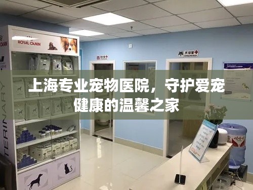 上海專業(yè)寵物醫(yī)院，守護愛寵健康的溫馨之家
