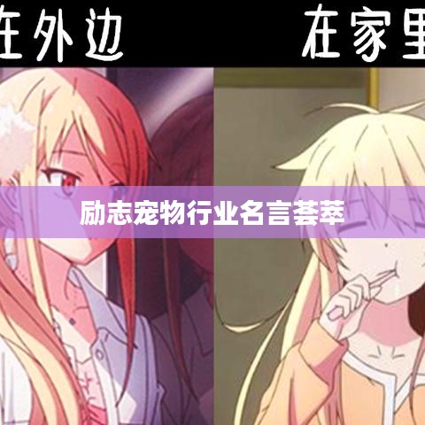 勵志寵物行業(yè)名言薈萃