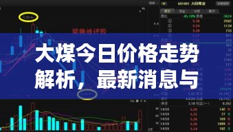 大煤今日價格走勢解析，最新消息與詳細(xì)分析