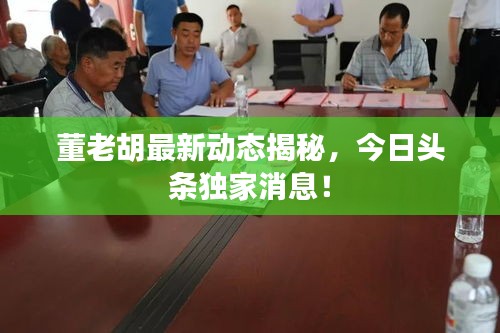 董老胡最新動態(tài)揭秘，今日頭條獨家消息！