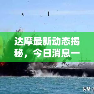 達(dá)摩最新動態(tài)揭秘，今日消息一網(wǎng)打盡！