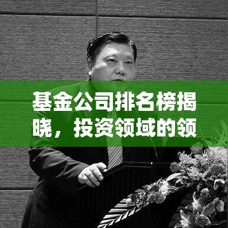 基金公司排名榜揭曉，投資領(lǐng)域的領(lǐng)軍者