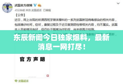 東辰新聞今日獨(dú)家爆料，最新消息一網(wǎng)打盡！