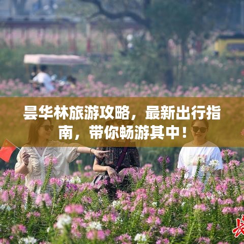 曇華林旅游攻略，最新出行指南，帶你暢游其中！