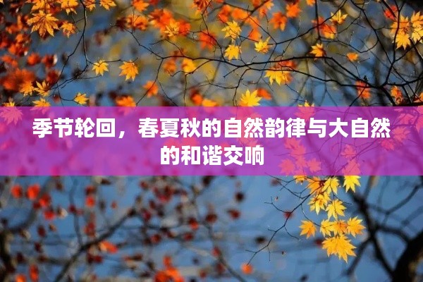 季節(jié)輪回，春夏秋的自然韻律與大自然的和諧交響