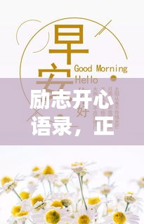 勵(lì)志開心語(yǔ)錄，正能量爆棚，生活態(tài)度大解析！