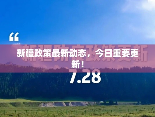 新疆政策最新動態(tài)，今日重要更新！